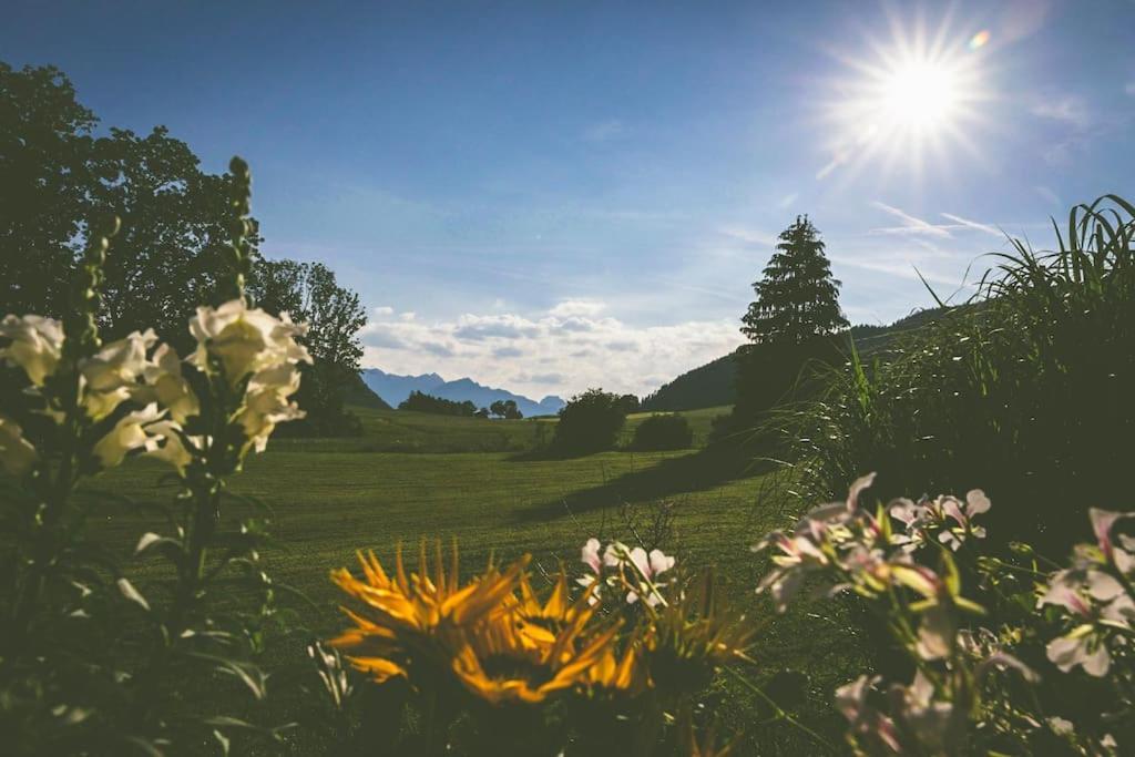 Fritzis Alpenidyll „Sommertraum & Winterromantik” Samerberg Dış mekan fotoğraf