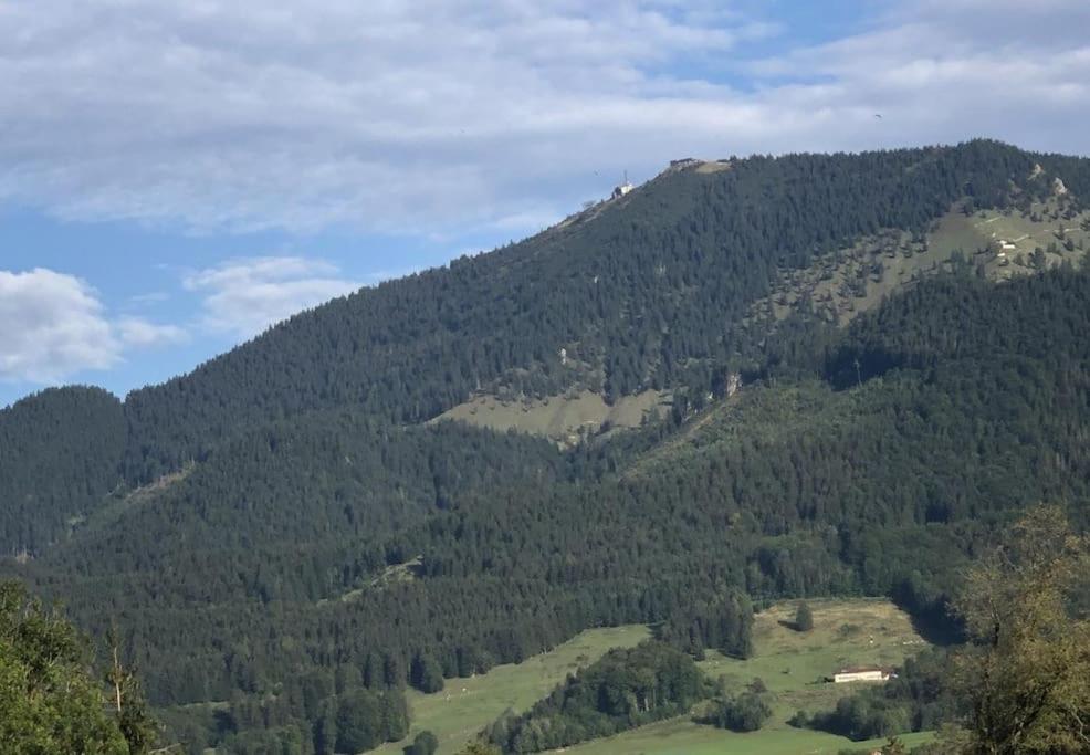 Fritzis Alpenidyll „Sommertraum & Winterromantik” Samerberg Dış mekan fotoğraf