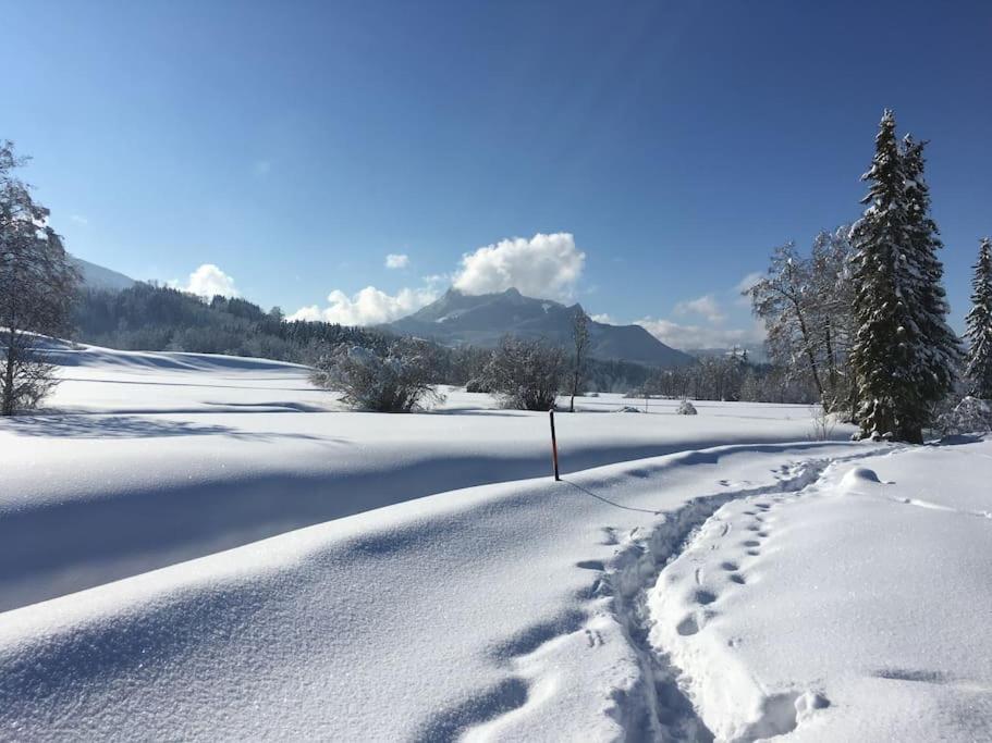Fritzis Alpenidyll „Sommertraum & Winterromantik” Samerberg Dış mekan fotoğraf